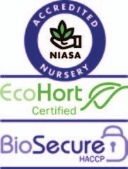 Nursery Production Farm Management System (FMS). These programs include: Nursery Industry Accreditation Scheme Australia (NIASA) BMP.