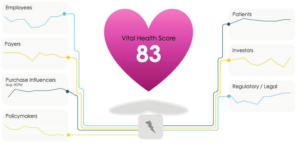 ASSESSING YOUR VITAL HEALTH ACROSS KEY STAKEHOLDERS The Vital Diagnostic quantifies a company s Vital Health Score across members of key stakeholder groups and geographic regions, which are defined