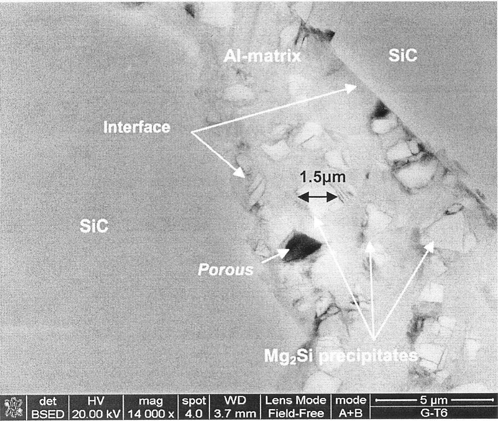 other major alloying elements (Fig.10c). Fig.7a: Hot rolled 31% SiC T6 showing precipitates formed around the reinforcement. Fig.7b: Hot rolled 31% SiC T6 showing Mg2Si precipitates formed between the SiC reinforcement interface in a platelet shape of around 1-3 μm.
