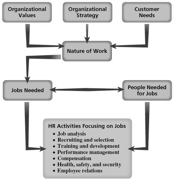 HR Management and Jobs Dividing Work into Jobs Work Job Effort directed toward producing or accomplishing results.