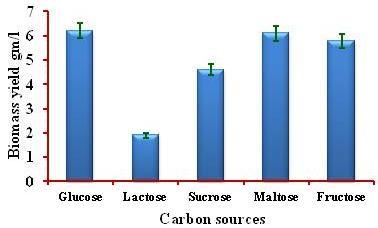 min or until the solvent front reached 1 cm from the finishing line (Rasheva et al., 2003). TLC plates were observed under UV lamp using shorter and longer wavelength under dark conditions.