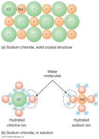 Water as Solvent Water molecules stick to other polar molecules. Electrostatic attraction produces ionic bond. [Ex is Na (+) and Cl (-)] Water can dissolve almost anything.
