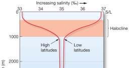 Density Density increases with decreasing temperature