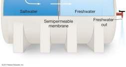 freshwater Membrane between fresh and salt water tanks Isopycnal Desalinization Reverse osmosis Salt water