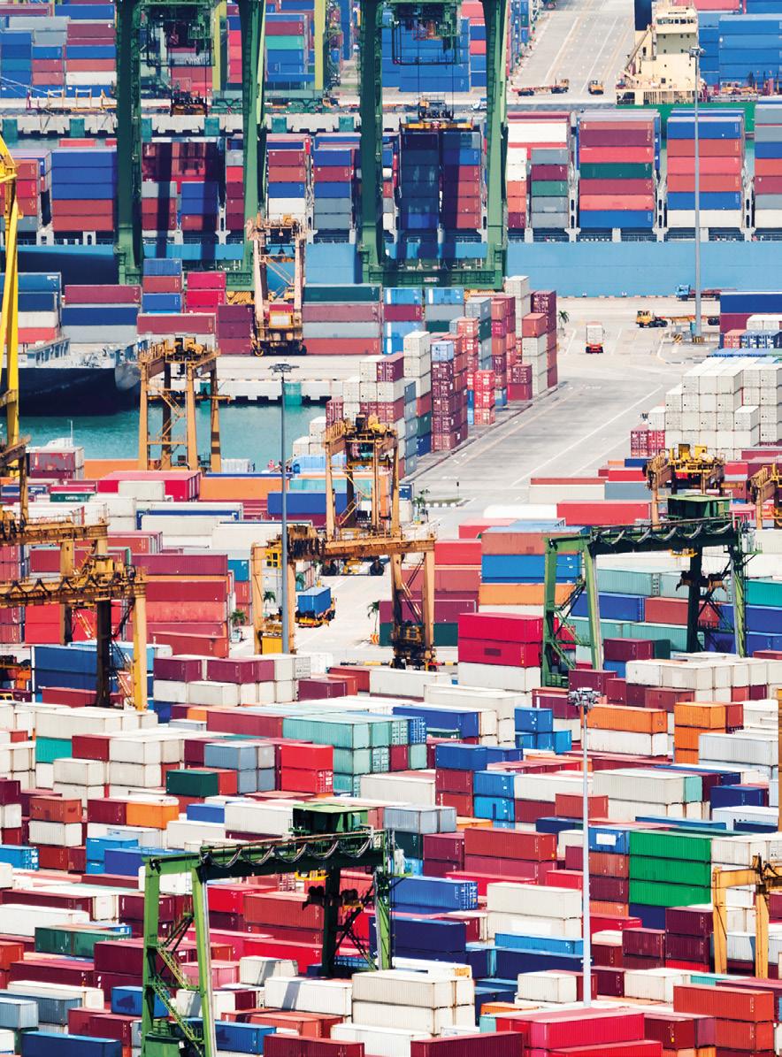 business segment general cargo import/export Optimize your transport flows and logistics costs.