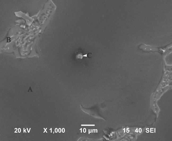A SEM image showing typical microstructure of sand mould cast Mg-10Gd-3Y-Zr alloy is presented in Fig.5, and the corresponding EDX analysis results are also included.