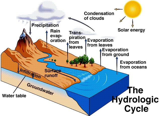 Water Pollution B. Hydrologic Cycle 1.