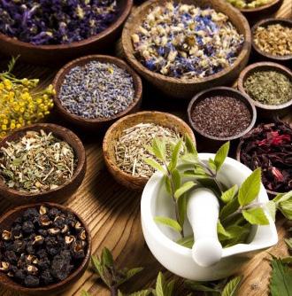 A broad spectrum of research and innovation activities will range from basic research to application-oriented multidisciplinary tracks and sub tracks will be addressed at the Herbal Medicine.