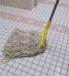 The studies were carried out on a typical kennel tiled floor and compared cleaning effectiveness of Alpha HydroMAID with a cotton string mop and a polyester microfiber flat mop.