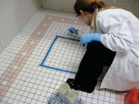 Laboratory analysts taking microbial sample with swab Taking creatinine sample with urine test stip Floor Cleaning Techniques Freshly opened, never used mop heads were used for each trial.
