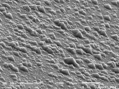 Figure 2 shows the SEM images of the surface