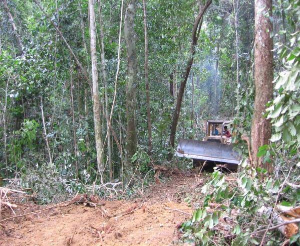 Estimating AD for selective logging from harvesting data Selective logging