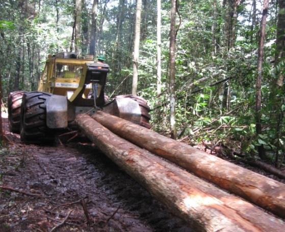 3) requires quantifying the Logging Infrastructure Factor: The LIF is the