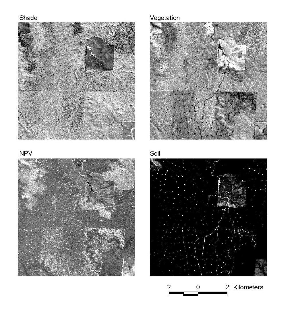 Interpreting endmember fractions Shade NPV Green Vegetation Soil Shade: Topography and forest canopy roughness and large clearings Green vegetation: Canopy