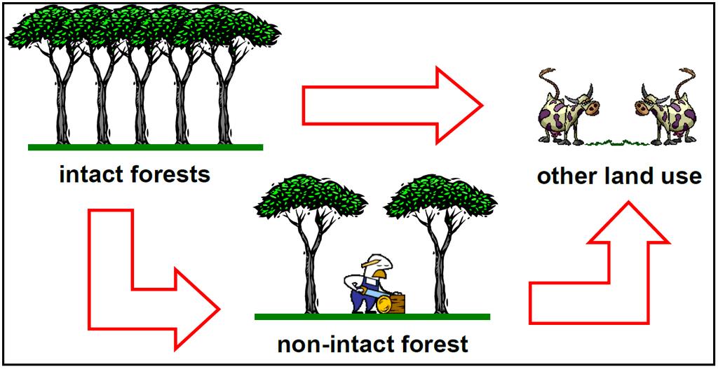Intact/non-intact forest approach Application to carbon accounting Carbon emission from forest degradation for each forest type consists of two factors: 1) the difference in carbon content between