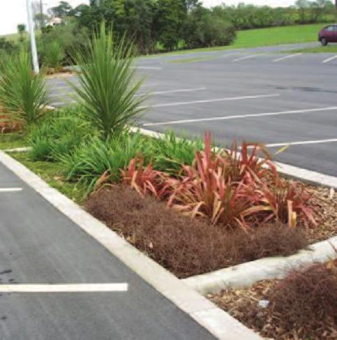 StormTech and Biore What is a Rain Garden? A shallow depression planted with suitable vegetation which is used to store and possibly treat stormwater runoff from impervious areas.