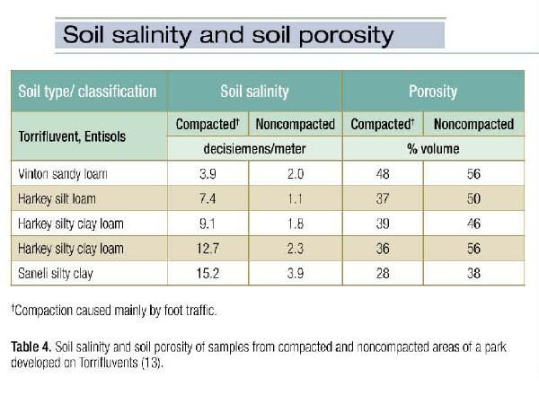 Salinity of soil samples collected from compacted areas was markedly higher