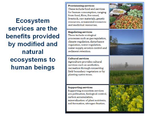 Ecosystem Services Source: Oral presentation prepared for the regional
