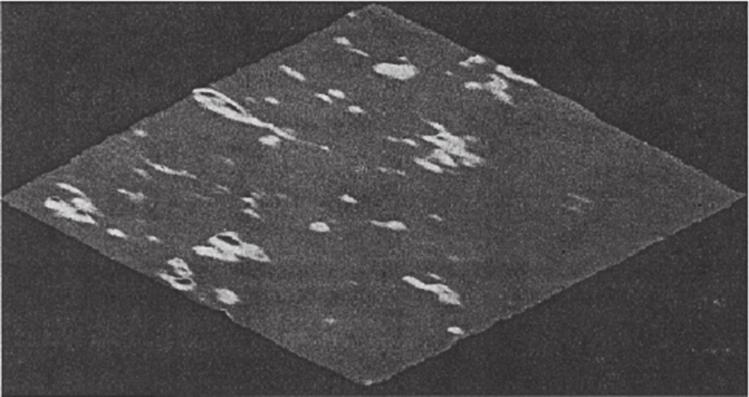 Micro-LIBS 189 (a) (b) Fig. 12. 2D scan of a 10 mm by 10 mm piece of coated paper board.