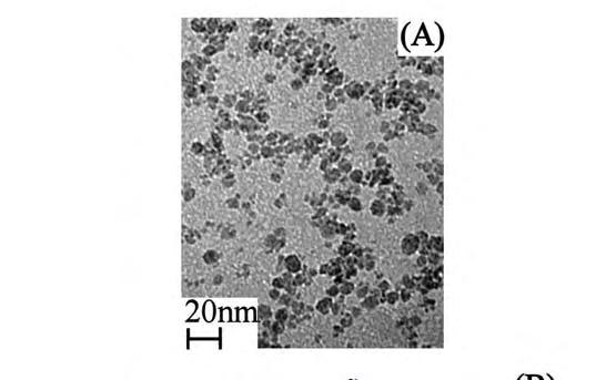 Nanoparticle Thin Film Voltammetry IV.