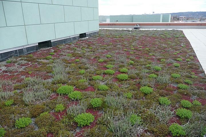 Green roof,
