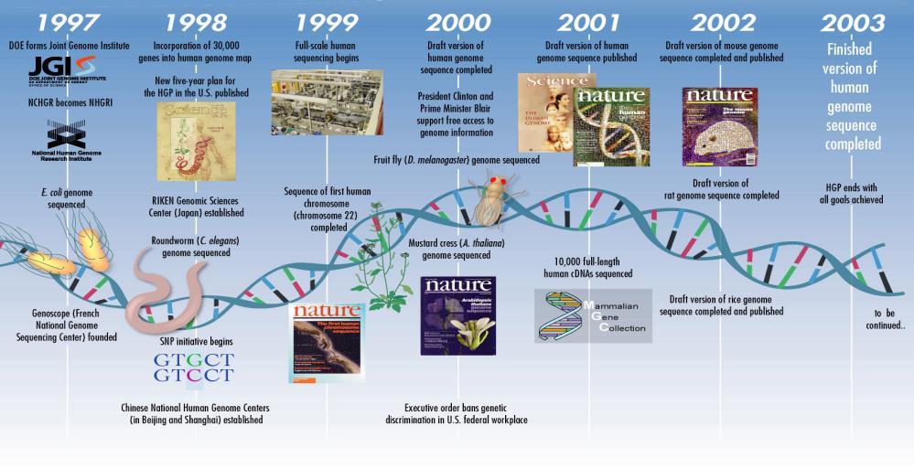 Completion of the first Human genome in 2003 21