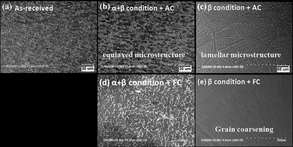 Parent metal in the as-received condition, i.e., mill-annealed condition, contained a microstructure of elongated equiaxed α grains with discontinuous β phase at the grain boundaries (Figure 1a).