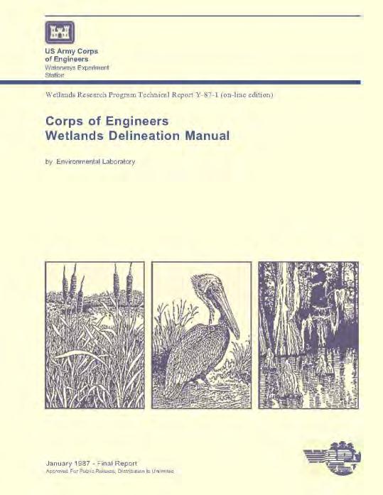Identifying wetlands 1987 Corps of Engineers Wetland Delineation Manual Applicable