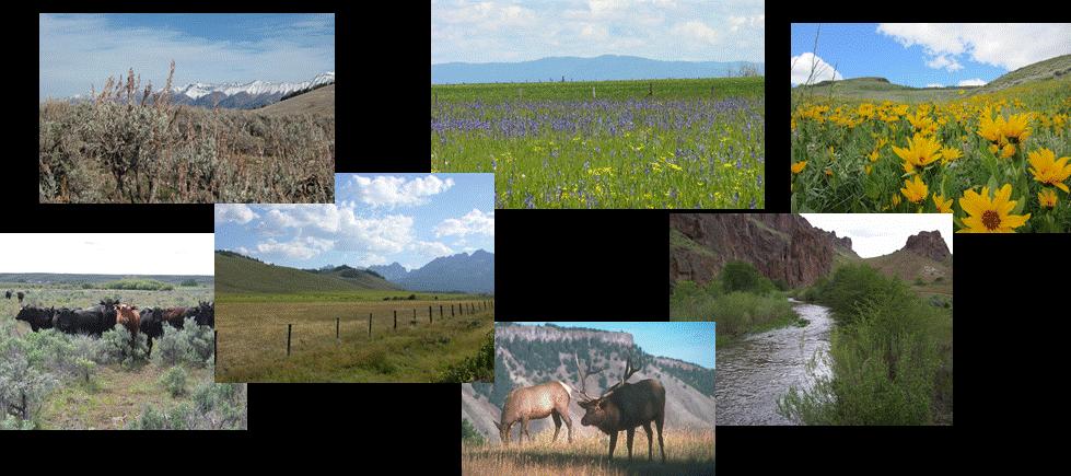 VI. Summary The Rangeland Center Strategic Plan outlined above directly addresses two of the three pillars of the University of Idaho Strategic plan for 2016 to 2025.