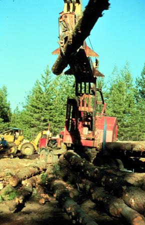 Commercial Timber Management and Production on Public Lands New options for commercial timber management warrant further discussion and resolution as part of multiple use management goals on public