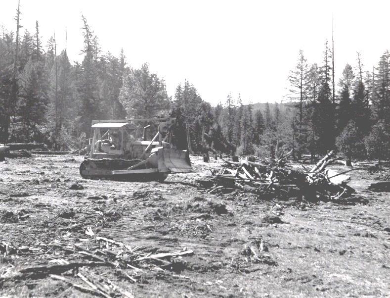 Forest, Rangeland, and Riparian Restoration Historical land uses have altered many landscapes in ways that reduce ecosystem function and resiliency.