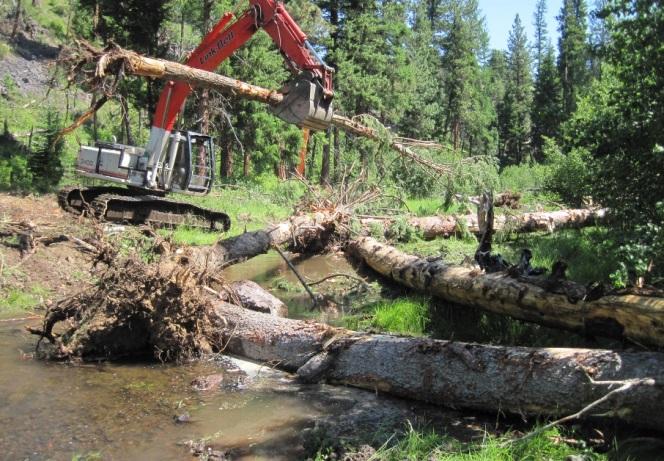 Forest, Rangeland, and Riparian Restoration Restoration science is not exact -- despite millions of dollars spent to restore degraded