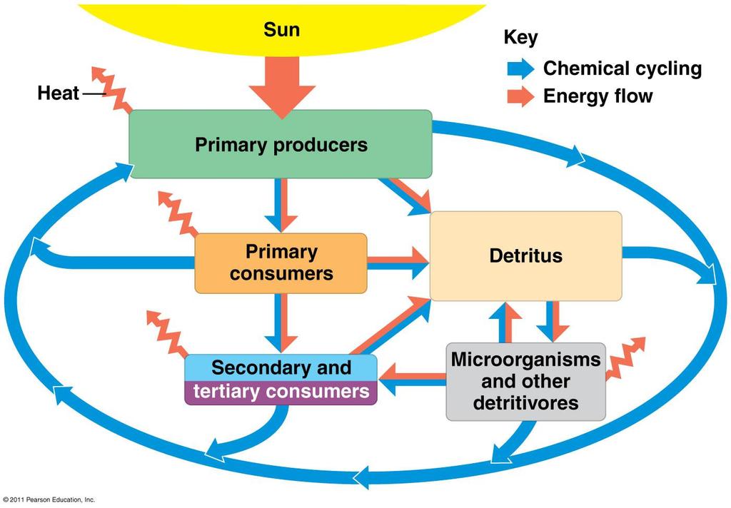 Overview of energy