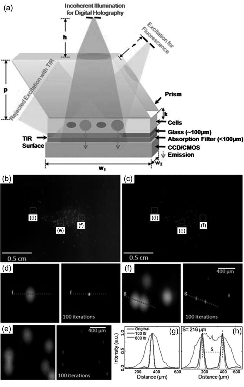 Biotechnology Journal Biotechnol. J. 2011, 6, 138 149 Figure 3. Digital holography integrated with fluorescent imaging. (a) Wide-field lensless fluorescence imaging platform with digital holography.