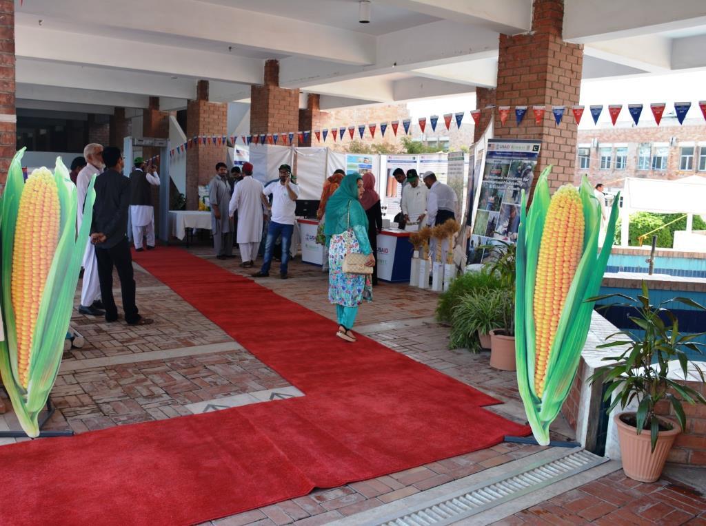 Figure 14 Maize exhibition during NMW of