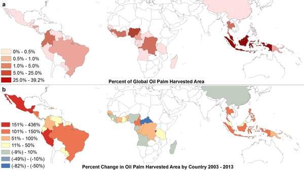 Rapid expansion of oil palm
