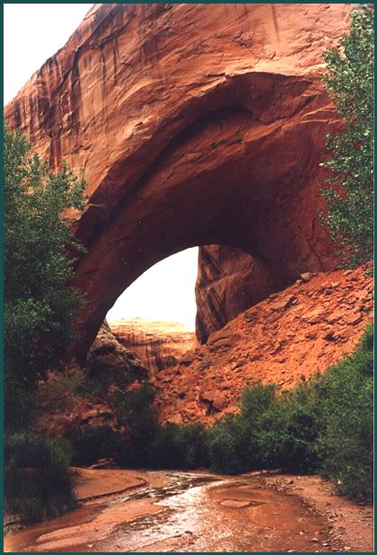 This arch was formed by water and wind eroding (or etching) into and eventually, through the sandstone.