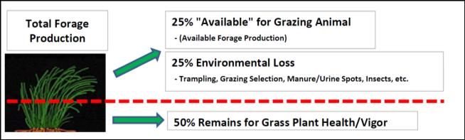 Proper Stocking Rate Forage Production Total available forage for the grazing unit Plant species/diversity