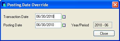To open the Posting Date Override form, click the zoom button beside the Year/Period field.