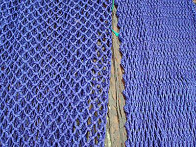 reproduce Square mesh does not alter its shape under tension allows young fish to