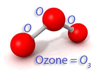 Ozone Ozone is poisonous to most living organisms Stratospheric Ozone Essential
