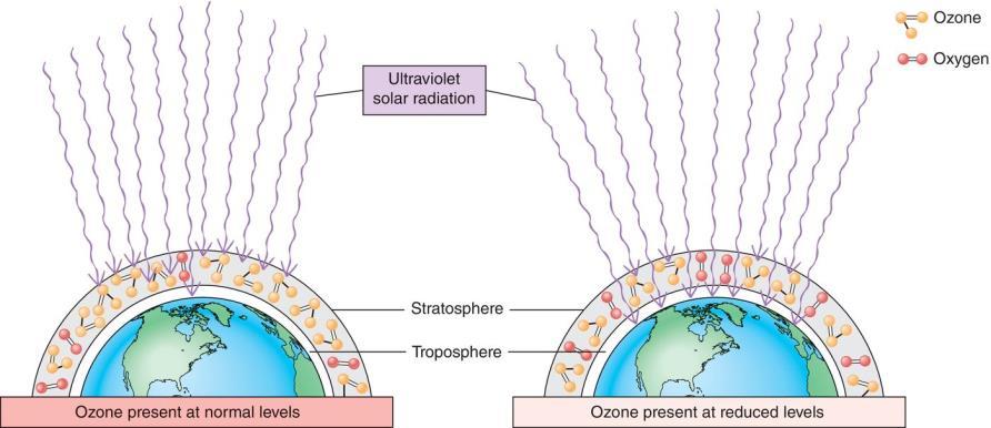 Ozone Depletion in Stratosphere Ozone Protects earth from UV radiation