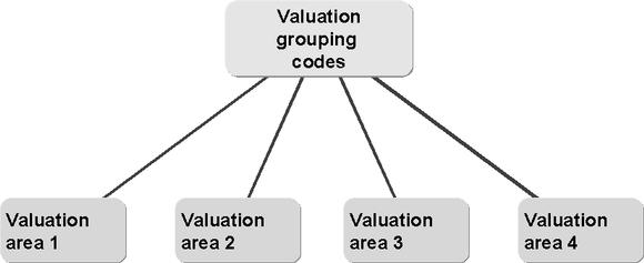 Valuation Grouping Code 207 NOTES: The valuation grouping code (specific to the valuation area) is the key for the account determination.