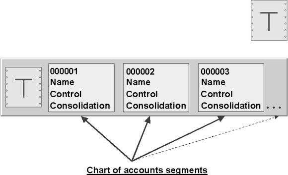 Chart of Accounts Segment 38 NOTES: The chart of accounts contains basic information about the accounts. The information for an account is summarized in a chart of accounts segment.