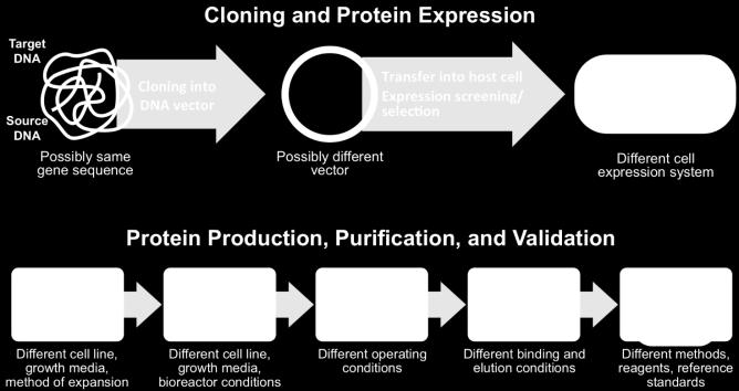 cell Expression screening/ selection Different cellexpression system Protein Production, Purification, and Validation Cell expansion Different cell line, growth media, method of expansion Cell