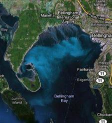 Scientific questions What are the nutrient sources to Bellingham Bay