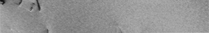 26 An electron micrograph of a thin foil of