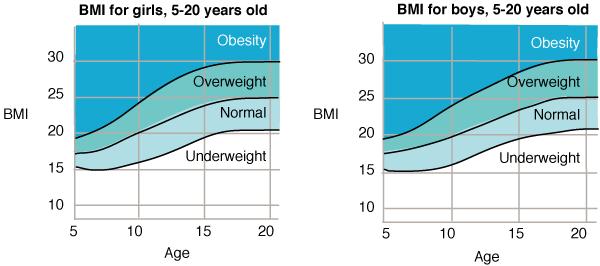 body fat between boys and girls and differences in body fat at various ages. Figure 2.2 can be used as a guide when classifying the weight of children. Figure 2.2: BMI interpretation for children between the ages of 5 and 20 years Source: Anon.