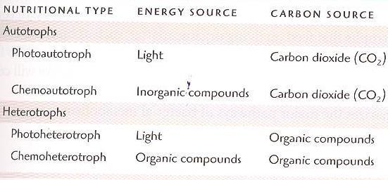 Anabolic Process: Photosynthesis -- two stages of reactions -- end product: glucose 1.