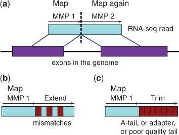 Mapping RNA-Seq: STAR 1) Search MMP : SA 2) Alignment clustering Dobin et. al.